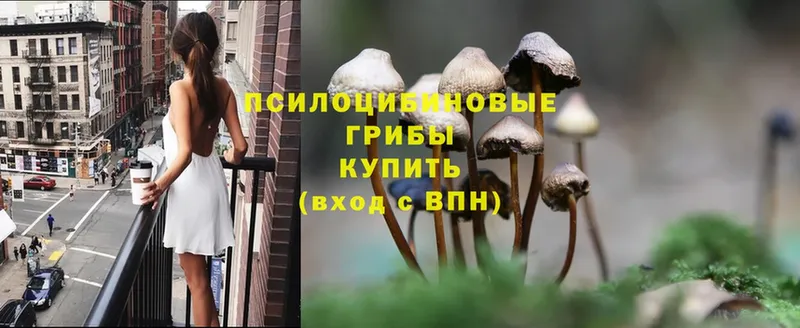 Псилоцибиновые грибы MAGIC MUSHROOMS  Заозёрск 